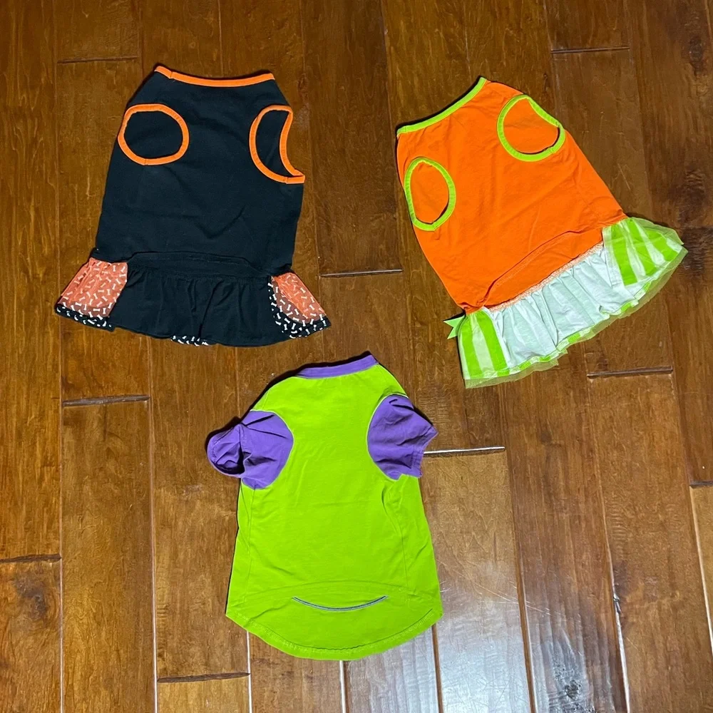 Martha Stewart Pets Bundle of 3 Halloween Outfits for Dogs Size Large